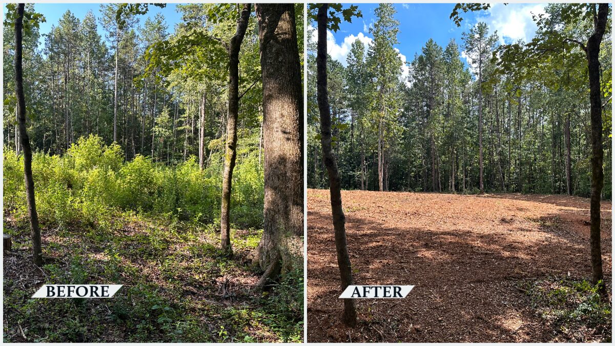Before and after forestry mulching — heavy underbrush ground into clean ground by Red Hat