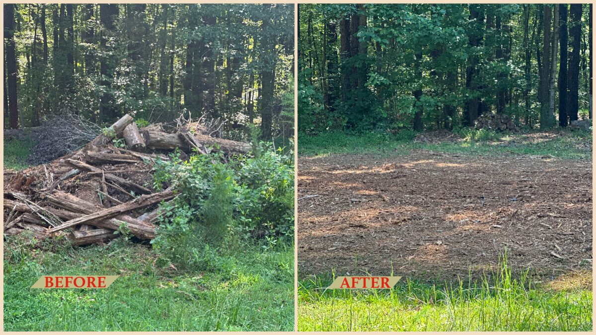 Before and after land clearing by Red Hat in the Statesville and Iredell County area