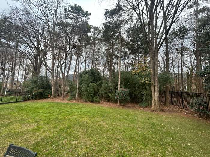 Backyard Clearing - Before