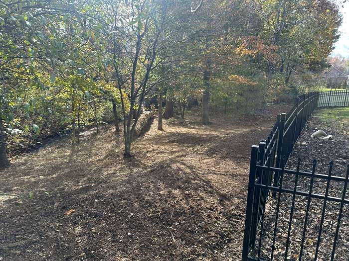Fence Line Cleanup - After