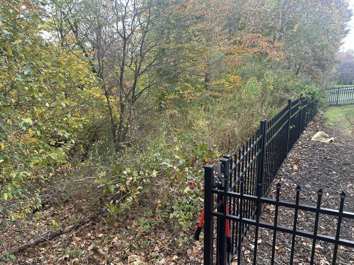 Fence Line Cleanup - Before