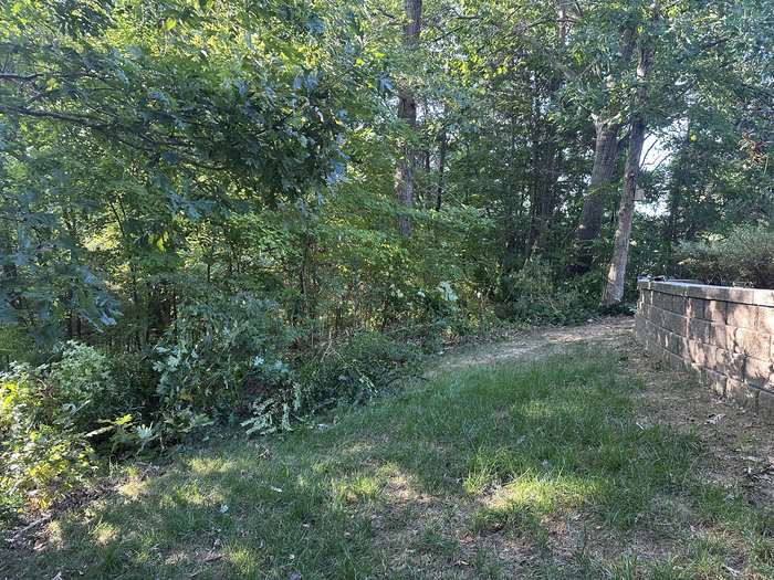 Property Restoration - Before