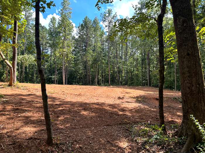 Large Acreage Mulching - After