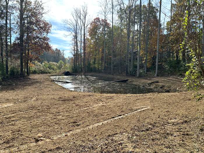 Brush & Debris Removal - After